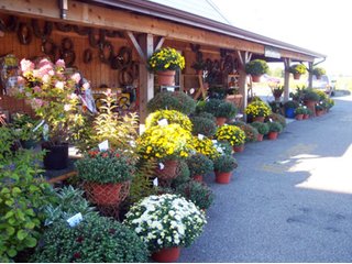<a href="http://www.mcintoshgreenhouse.com">More Information Available at www.mcintoshgreenhouse.com</a><br><br>Fantastic opportunity on 14+/- acres just south of Goshen, IN with lots of frontage on US 33.  This property is currently zoned commercial-retail and consists of 16 greenhouses with 37,494 SF of heated growing area.  

In addition, it includes retail buildings, shop, and an approx. 1700 SF home adjacent to the business. Opportunities abound with this prime property and the second generation owners retiring and ready to consider offers.  Possible uses of this acreage is unlimited!  A Great location on a busy road, good access and paved parking for 66 vehicles.

 - 14+/- Acres Zoned Commercial-Retail